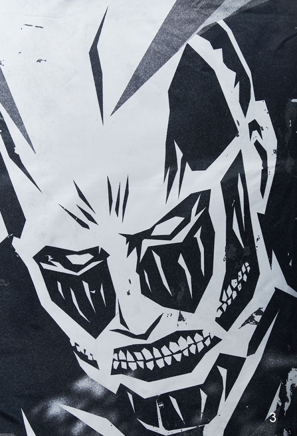 Official Licensed Attack on Titan Colossal Titan Wall Tapestry