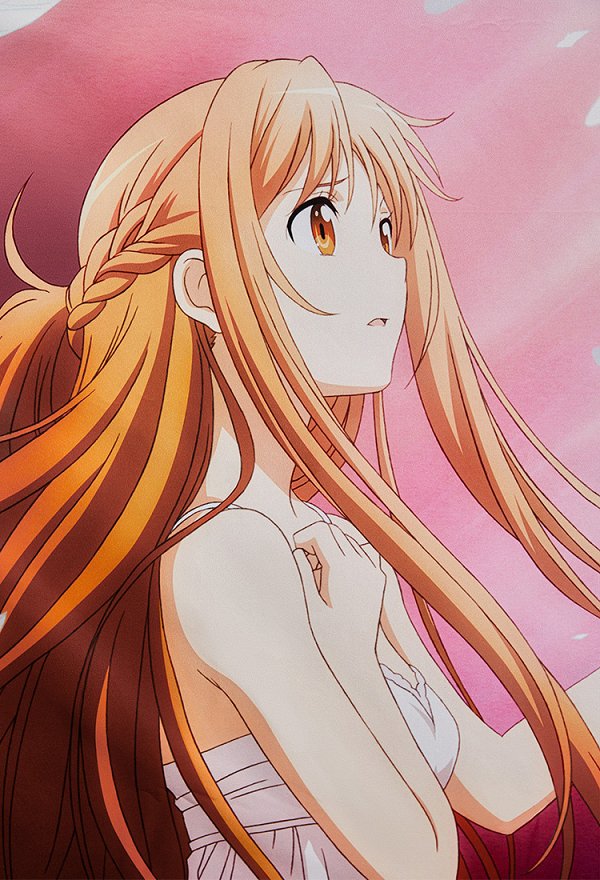 Officially Licensed Sword Art Online Asuna and Konno Yuuki Printed Tapestry