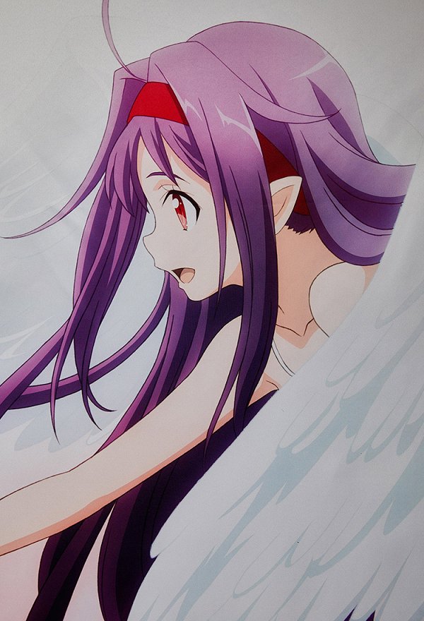 Officially Licensed Sword Art Online Asuna and Konno Yuuki Printed Tapestry