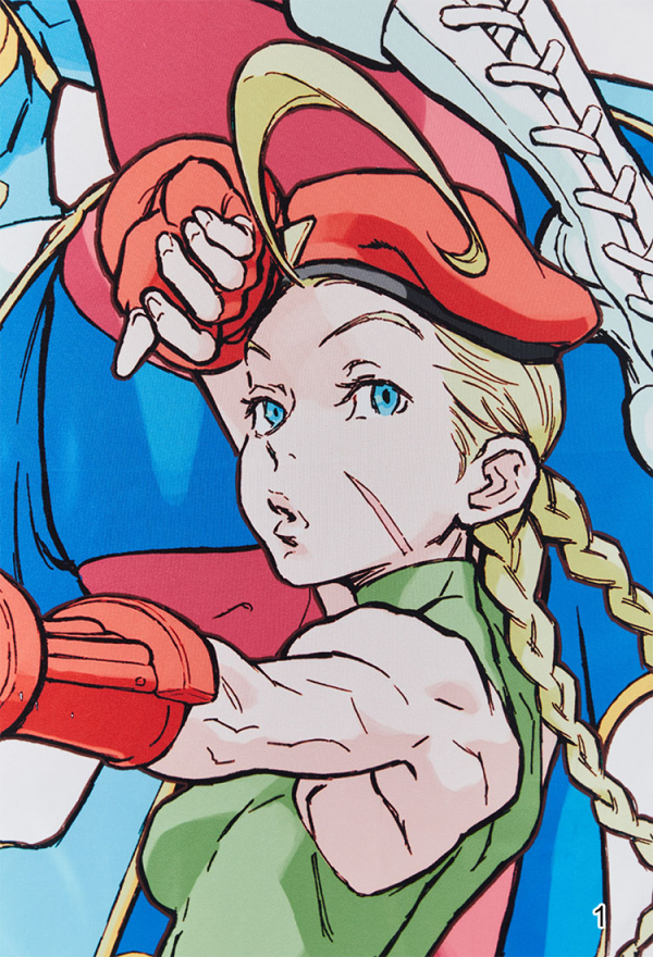 Officially Licensed Street Fighter Classic Wall Tapestry