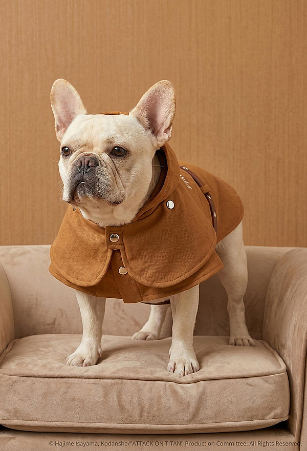 Officially Licensed Attack on Titan Scout Regiment Pet Costume Survey Corps Pet Cloak