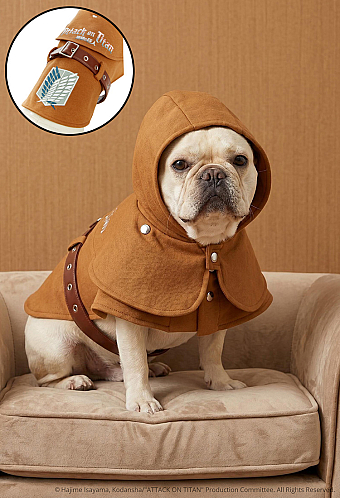 Officially Licensed Attack on Titan Scout Regiment Pet Costume Survey Corps Pet Cloak