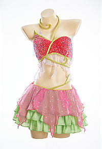 Officially Licensed Winx Club Believix Flora Cosplay Costume Set