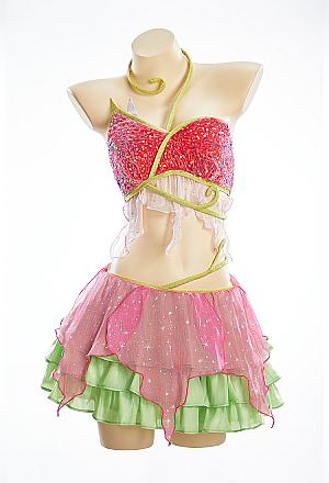 Officially Licensed Winx Club Believix Flora Cosplay Costume Set