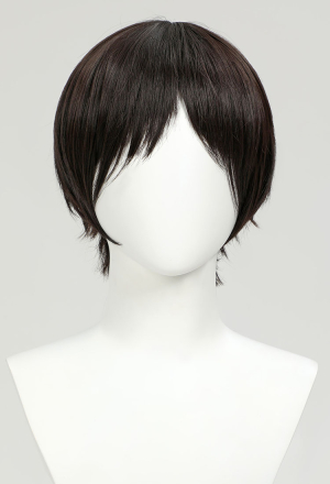 Official Licensed Attack on Titan Cosplay Eren Yeager Wig